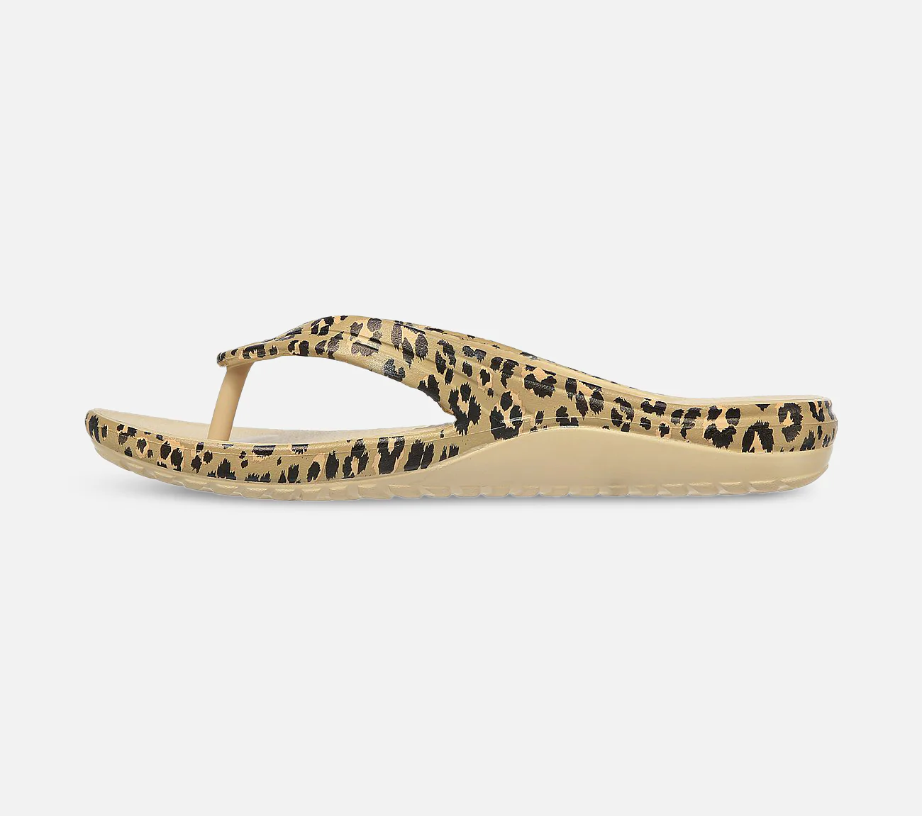 Bay Breeze - Wild Kitten - Image 2