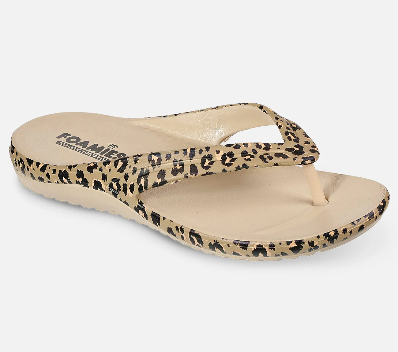 Bay Breeze - Wild Kitten - Image 5